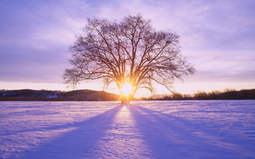 Cherished Spark ~ The Poetry of Winter Solstice