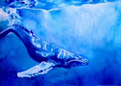 stunning painting of whale in the ocean