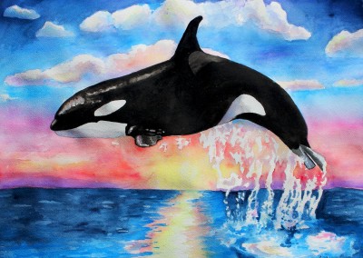 beautiful orca jumping over sunset