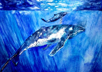 watercolor of whale mom and baby