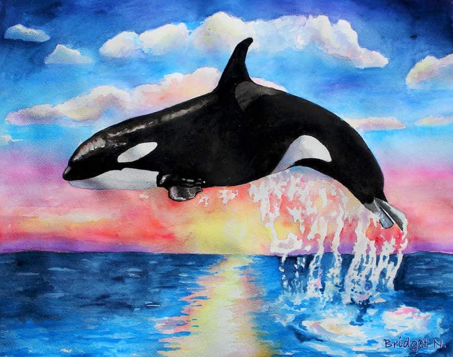 painting of orcas whale