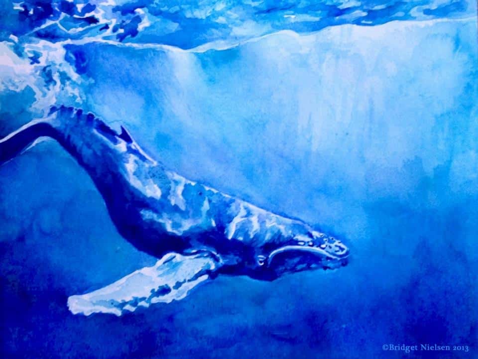 humpback watercolor painting